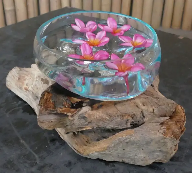 Product image 1 of the product “Driftwood with melted wide glass (Model 2 - wide opening) on top as plant container . In the sizes from 10 to 35cm ”